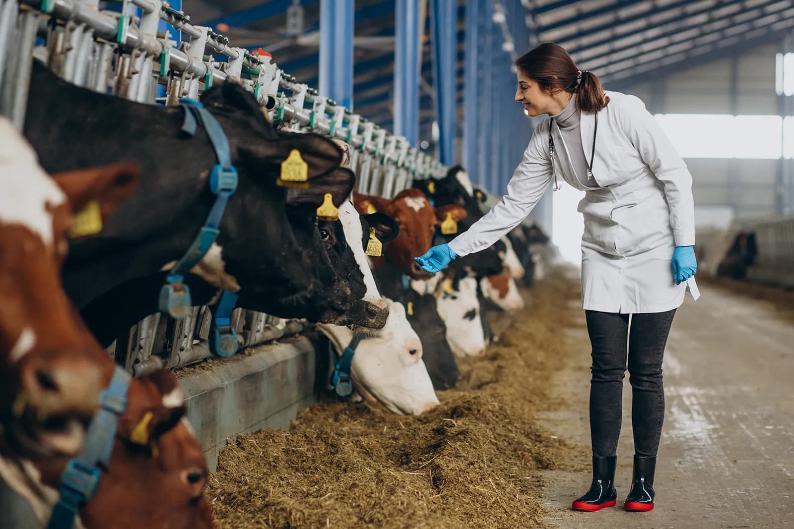 Health & Vaccination Tracking